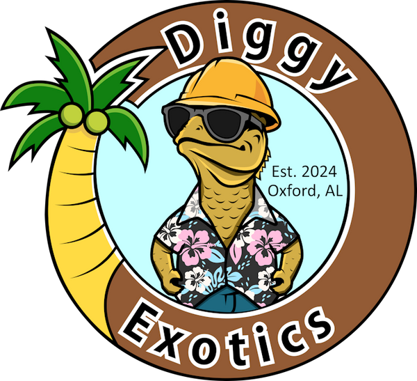 Diggy Exotics